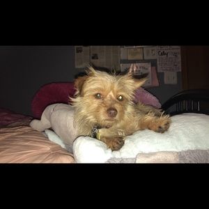 Meet your Posher, Caley